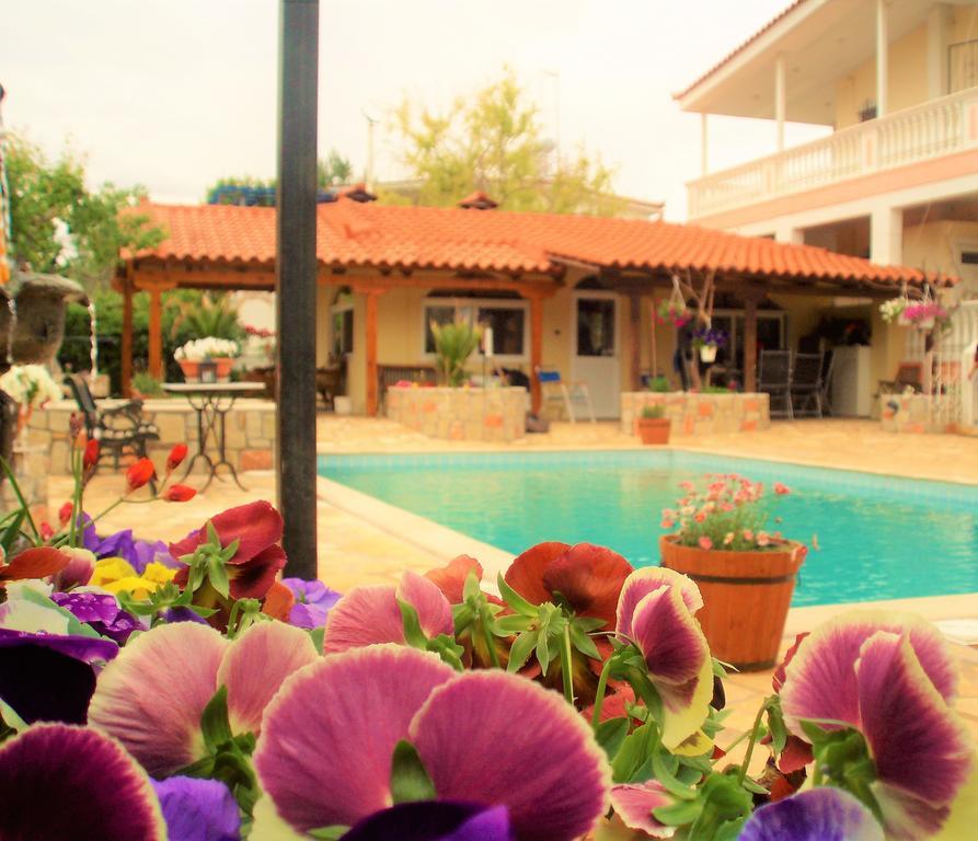 דירות Chalkís Jacuzzi Pool House Ama5690 מראה חיצוני תמונה
