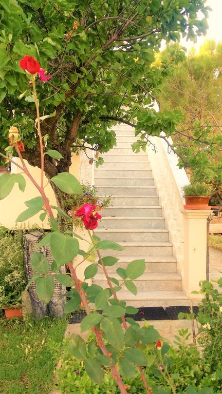 דירות Chalkís Jacuzzi Pool House Ama5690 מראה חיצוני תמונה